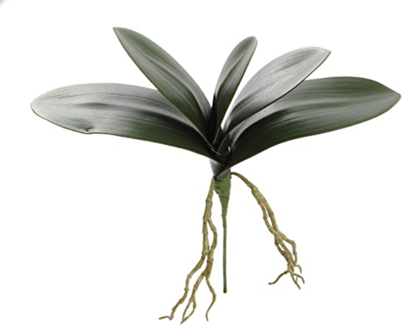 12-Pack: 17" Phalaenopsis Orchid Foliage Cluster Pick , Floral Home by Artificial Flowers